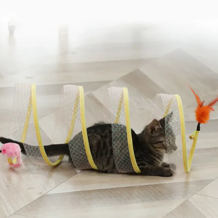 Kitty Tunnel