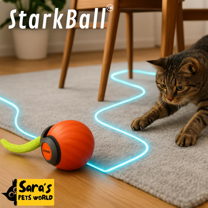 Kitty StarkBall 2.0
