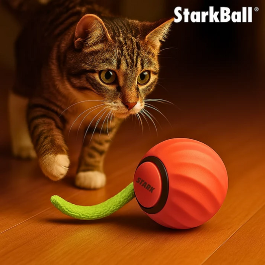 Kitty StarkBall 2.0