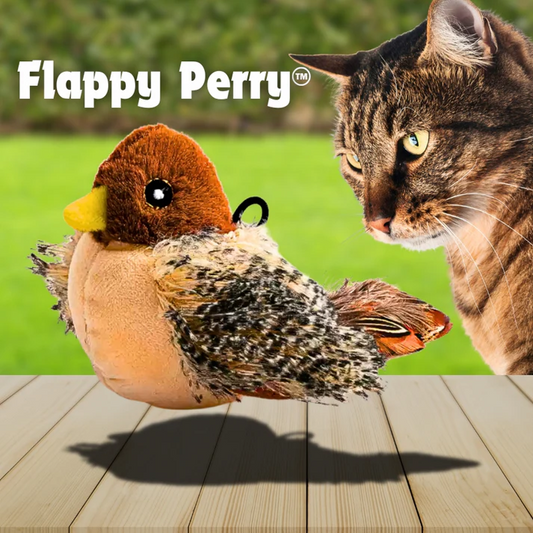 Flappy Perry